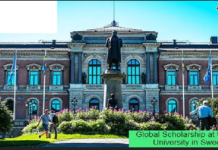 Uppsala University scholarships 2024 (Fully Funded Scholarships in Sweden): (Deadline 22 January 2024)